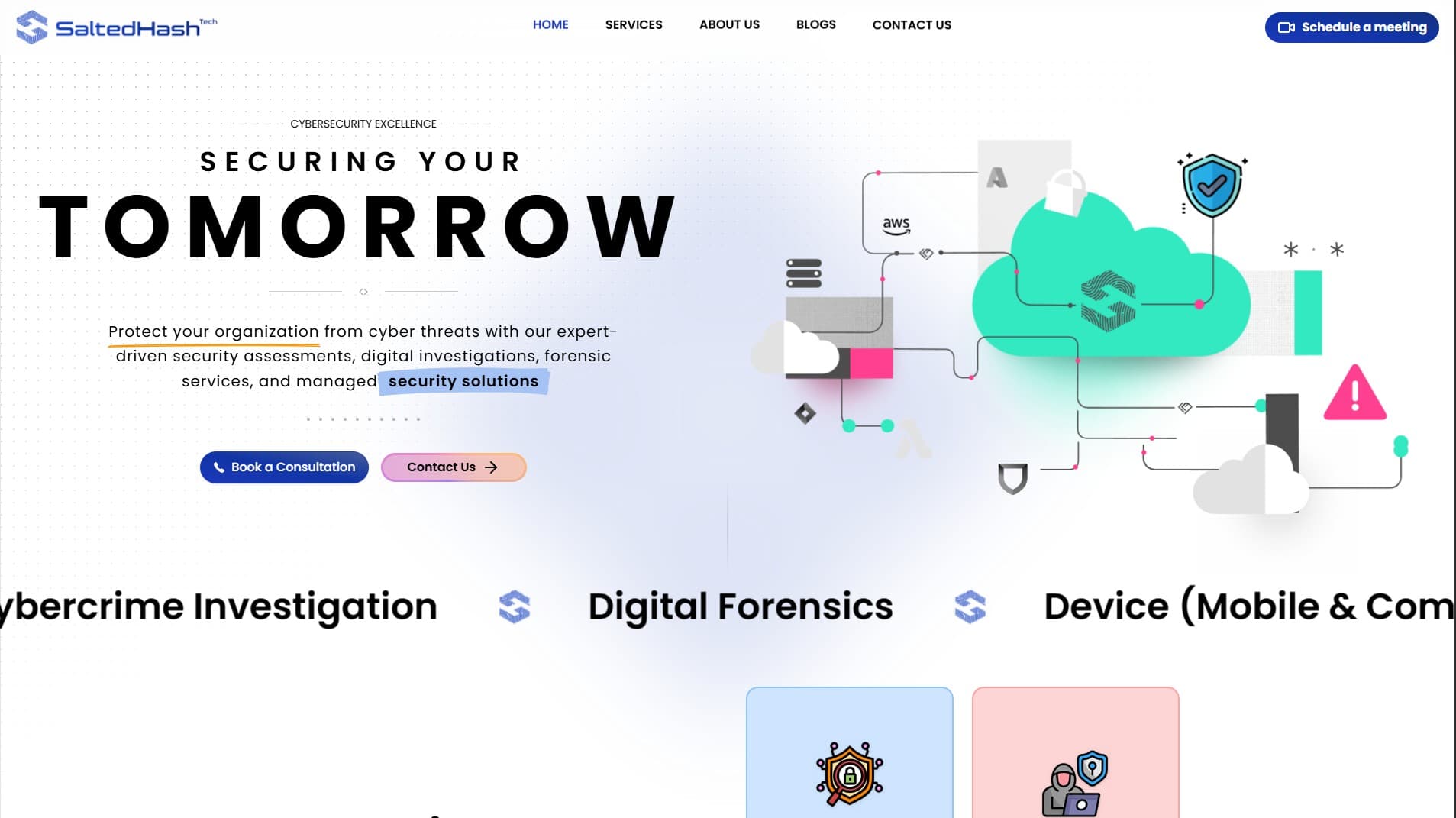Salted Hash Tech — Cyber Security Website project screenshot