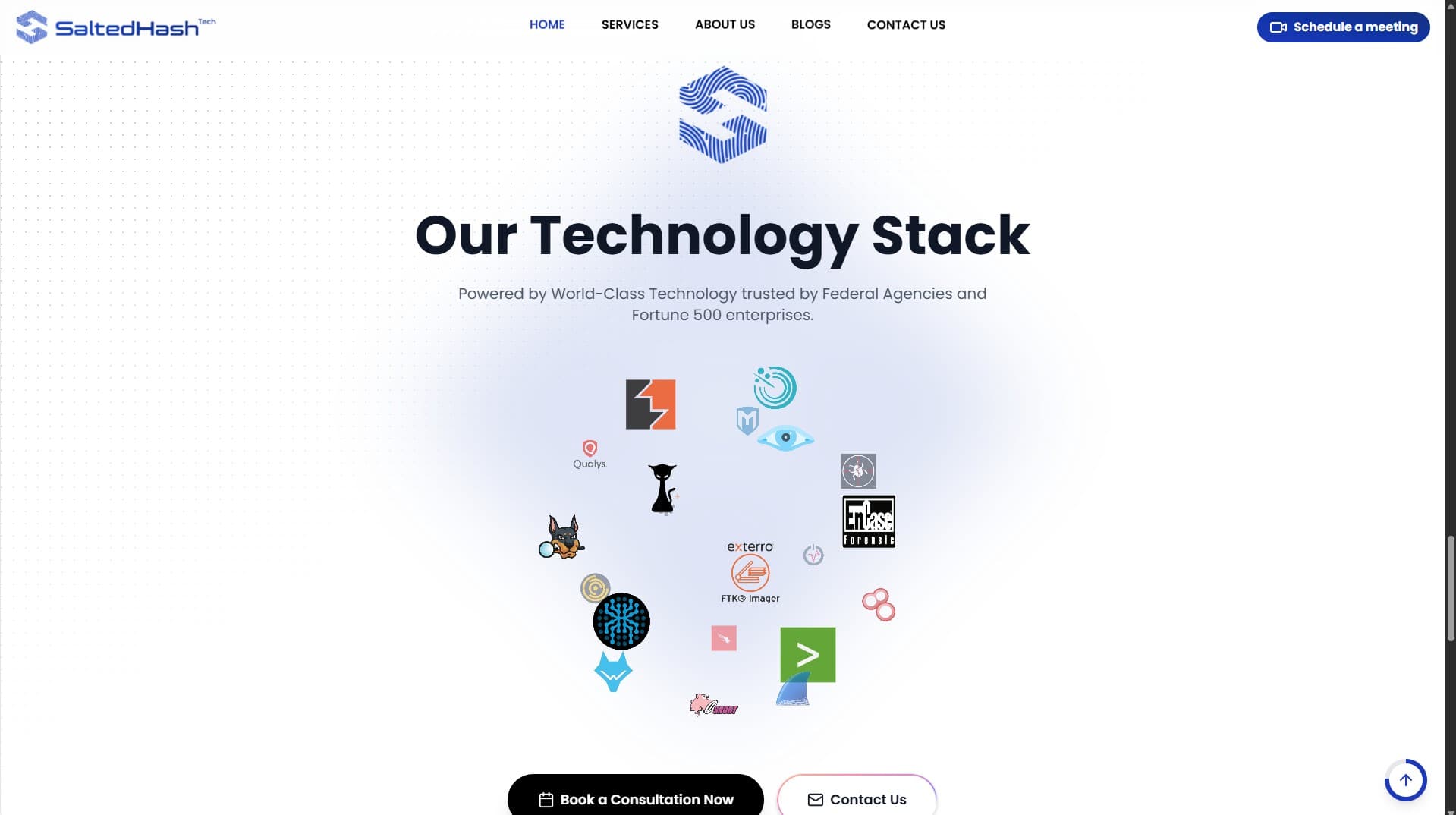 Salted Hash Tech — Cyber Security Website project screenshot